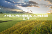 96年鼠2023年的婚姻运势，2023年属鼠要出大事