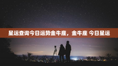 星运查询今日运势金牛座，金牛座 今日星运