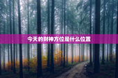 今天的财神方位是什么位置，今天的财神方位是什么位置打麻将明天
