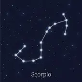 属牛天蝎座2025运势解析：事业财运全指南