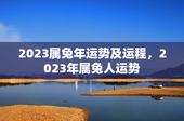 2023属兔年运势及运程，2023年属兔人运势