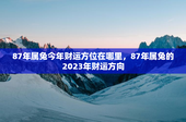 87年属兔今年财运方位在哪里，87年属兔的2023年财运方向