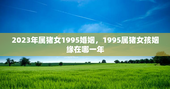 2023年属猪女1995婚姻，1995属猪女孩姻缘在哪一年