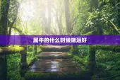 属牛的什么时候赌运好，属牛的人什么时候运气好