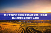 怎么查自己的月亮星座和太阳星座，怎么查自己的月亮星座是什么意思