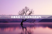 水墨先生十二生肖每日虎运气，水墨先生今日生肖