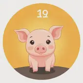 1995年属猪2025年运势，运势事业转折点