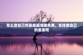 怎么查自己的星座最准确免费，怎样查自己的星座呢