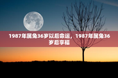 1987年属兔36岁以后命运，1987年属兔36岁后享福
