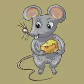 十二生肖代号别称全解析：简称对照速查