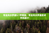 专业风水罗盘5.1苹果版，专业风水罗盘安卓手机版41