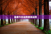 星座今日运势查询运势，星座今日运势每日运势