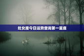 处女座今日运势查询第一星座，处女座今日运势查询第一星座屋