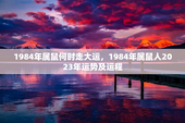 1984年属鼠何时走大运，1984年属鼠人2023年运势及运程