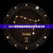 摩羯座今年桃花运如何(介绍2023年摩羯座的爱情运势)