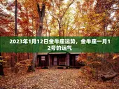 2023年1月12日金牛座运势，金牛座一月12号的运气