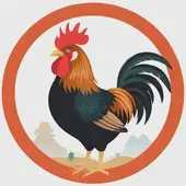 属鸡的今年多大2025年运势：2025年属鸡的多大了