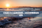 水瓶座2023运势好到爆，2023水瓶座全年运势