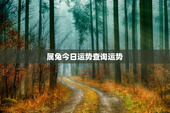 属兔今日运势查询运势，属兔今日运势及运程