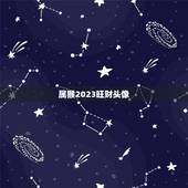 属猴2023旺财头像(找到最适合属猴人的财运头像)