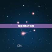 属狗的和什么属相配对(配对指南)