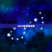 86年属虎23年运势(2023年运势大介绍)