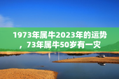 1973年属牛2023年的运势，73年属牛50岁有一灾
