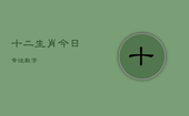 十二生肖今日幸运数字，十二生肖今日幸运数字2021年8月19日