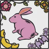 2025年生肖排码表图权威解析：精准年份对照