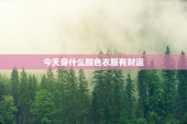 今天穿什么颜色衣服有财运，属猪今天穿什么颜色衣服有财运