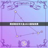 男孩取名字大全2023属兔免费（名字的含义和对起名的建议）