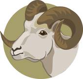 白羊座今日偏财运势查询(财运亨通好运连连)