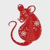 12生肖运势弱点全解析：避开这些忌讳