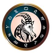 怎么追摩羯座的男生聊天(成功攻略分享)