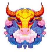 属牛的人今年命运怎么样(2023年属牛人财运旺盛但需注意健康问题)