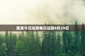 属龙今日运势每日运程8月29日，属龙今日运势查询水墨先生