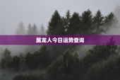 属龙人今日运势查询，生肖龙2023年运势及运程