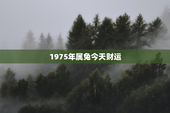 1975年属兔今天财运