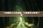 73年属牛人今天财运，73年属牛50岁有一灾