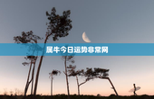 属牛今日运势非常网，属牛今日运势及财运爱情事业网
