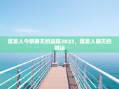 属龙人今明两天的运程2023，属龙人明天的财运
