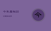 今年属相2023属相运势，12生肖运势2023年运势详解势详解