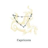 摩羯女生2023年运势(事业顺遂感情有波折)