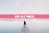 属鼠今日运势及运程，属鼠今日运势及运程华易网
