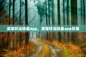 溜溜好运排盘app，溜溜好运排盘app安装