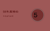 59年属猪的今天运气如何，59年属猪的今天运气如何呢