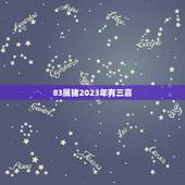 83属猪2023年有三喜(解读中国传统农历年的吉祥预测)