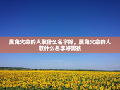 属兔火命的人取什么名字好，属兔火命的人取什么名字好男孩