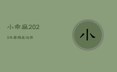 小乖麻2023年摩羯座运势，摩羯2020到2023未来三年运势