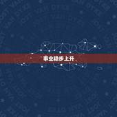 摩羯座未来半个月运势(事业稳步上升财运亦旺)